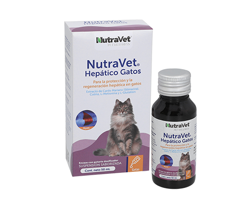 NutraVet Hepático Gatos