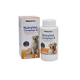 NutraVet Complejo B